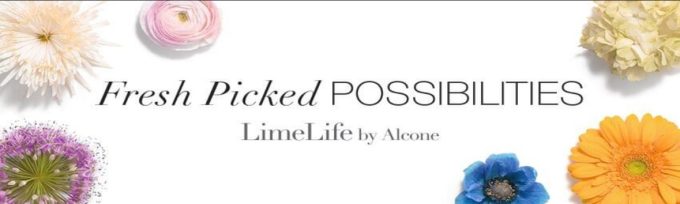 Limelife by Alcone